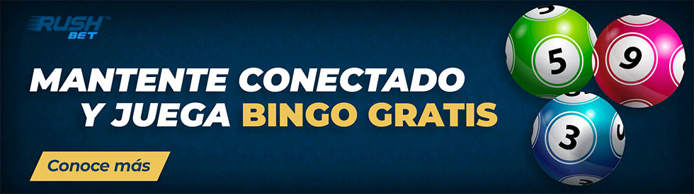 como hacer un bingo