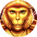 golden macaque